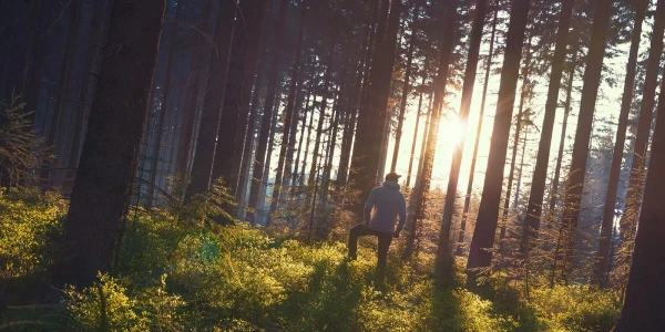 Woodlands Recovery Centers